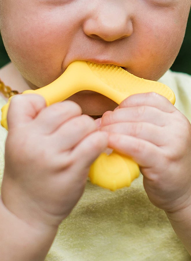 Cleaning Teether