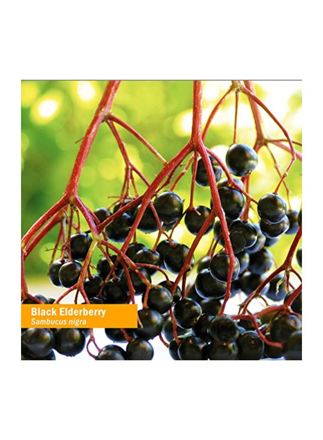 Black Elderberry Herbal Supplement