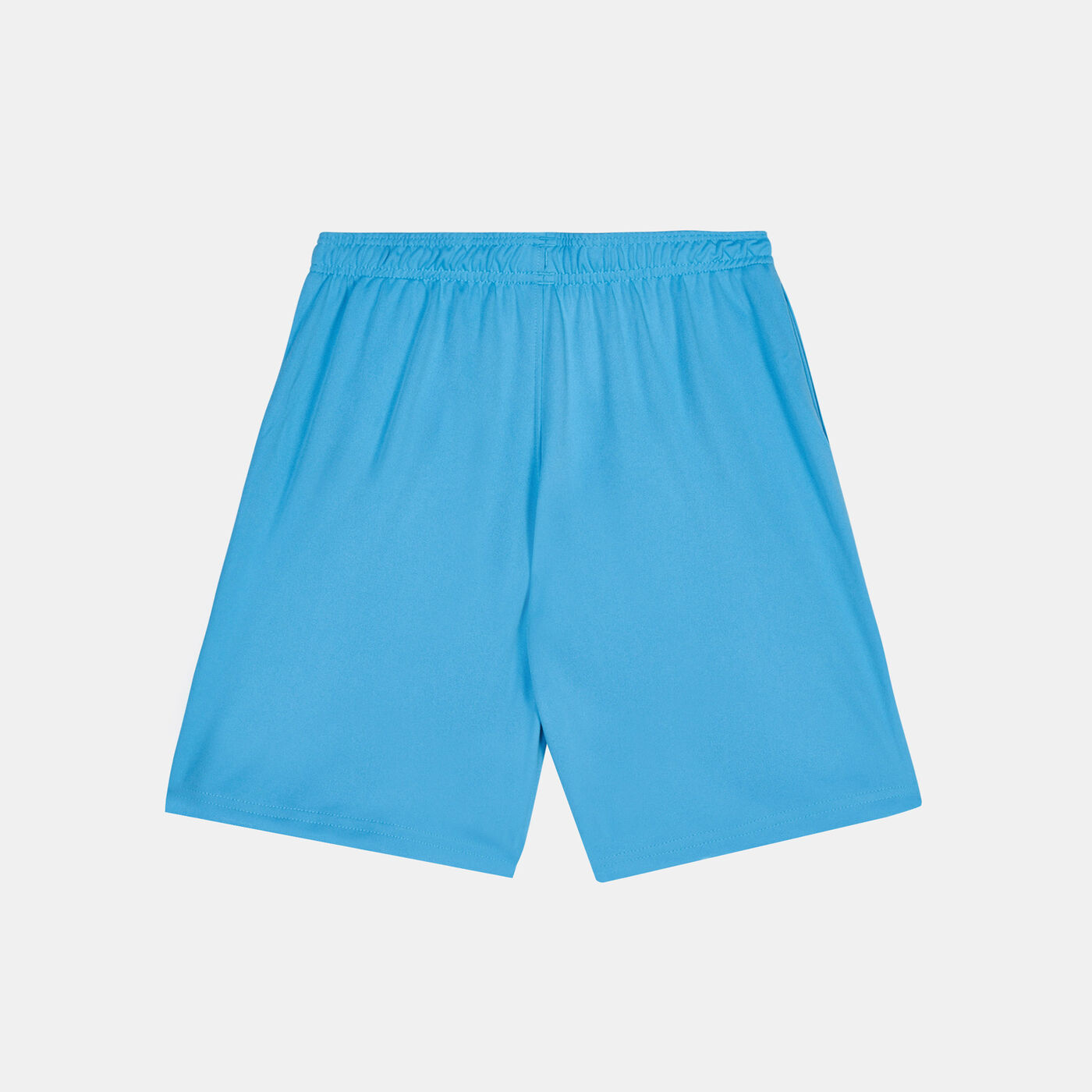 Kids' UA Prototype 2.0 Logo Shorts