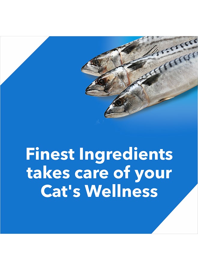 Tuna & Salmon Dry Food For Adult Cat 7kg