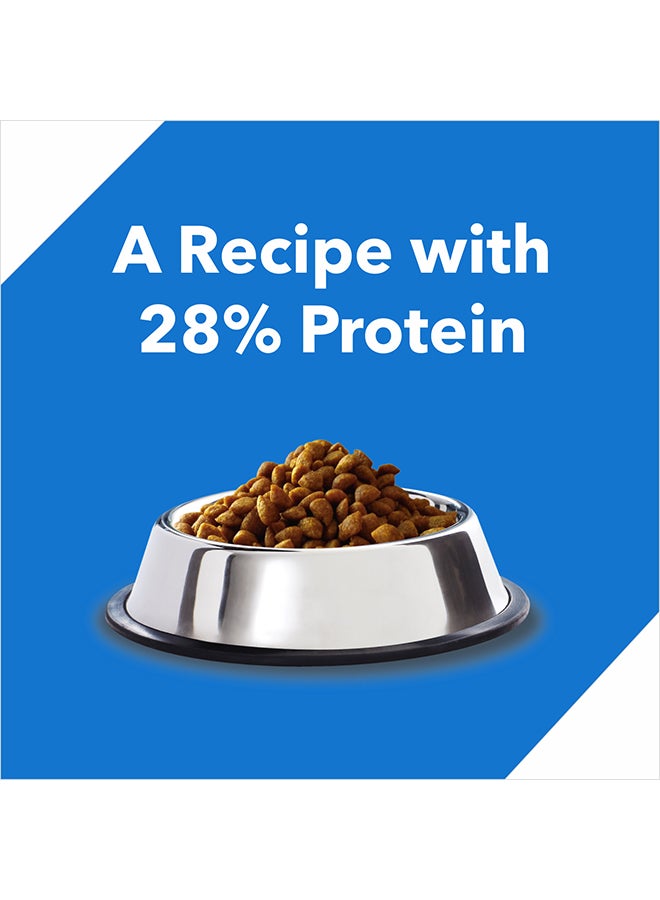 Tuna & Salmon Dry Food For Adult Cat 7kg
