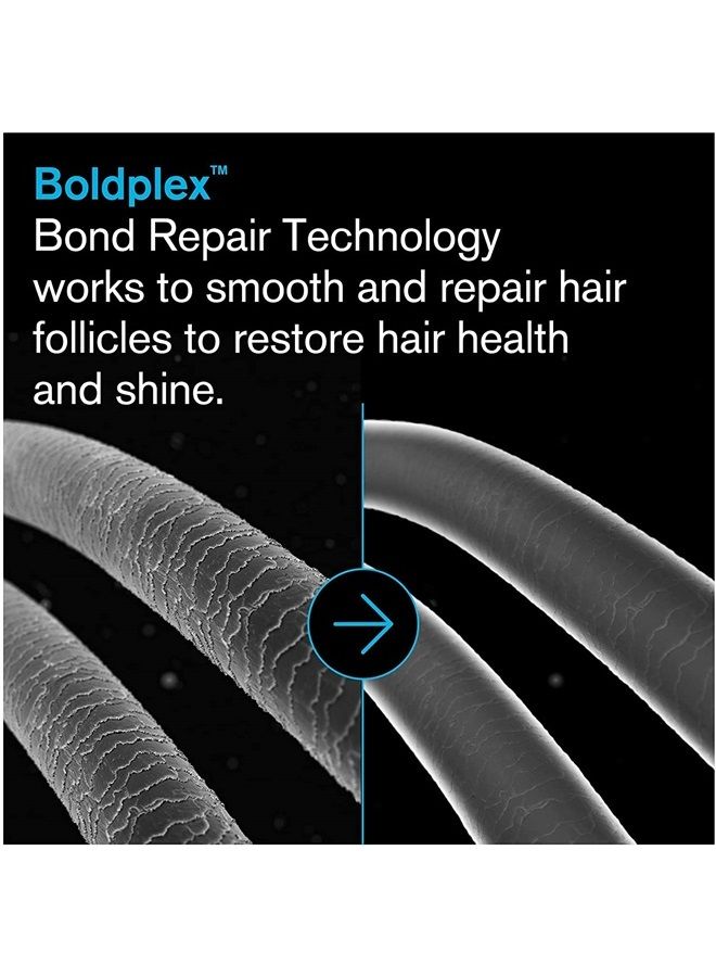 BoldPlex 4 Bond Strengthening Protein Shampoo for Dry Damaged hair - Hydrating Formula for Curly, Dry, Colored, Frizzy, Broken or Bleached Hair Types. Cruelty-free & Vegan