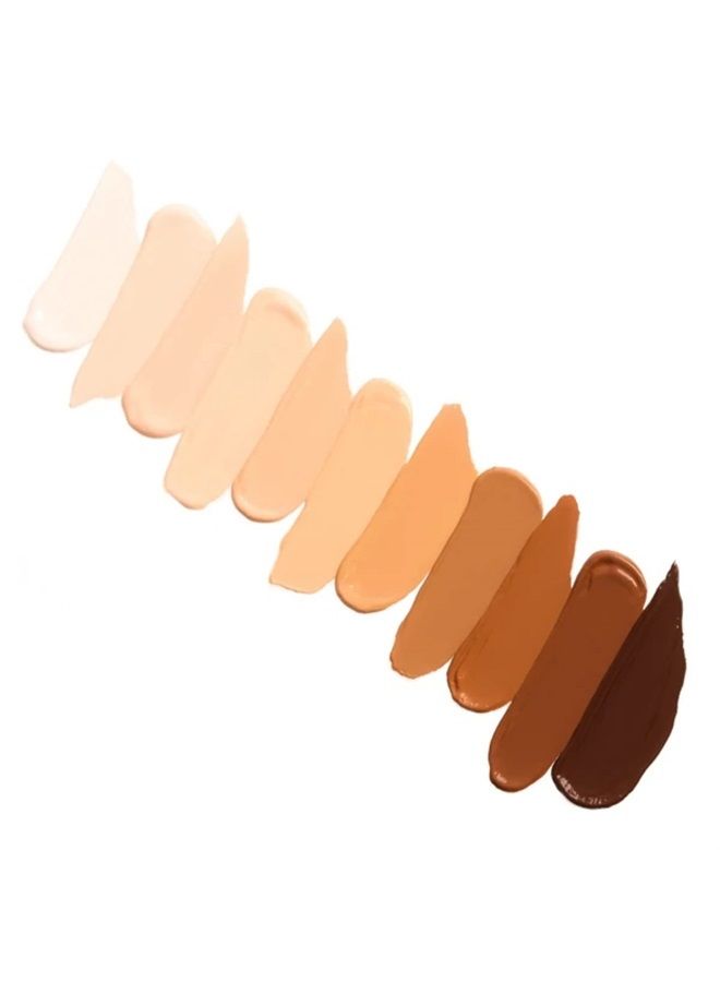 Essential High Coverage Liquid Concealer - Soft Matte Finish - Color Corrector for Spot Coverage, Under Eye Dark Circles and Contour, Biscotti