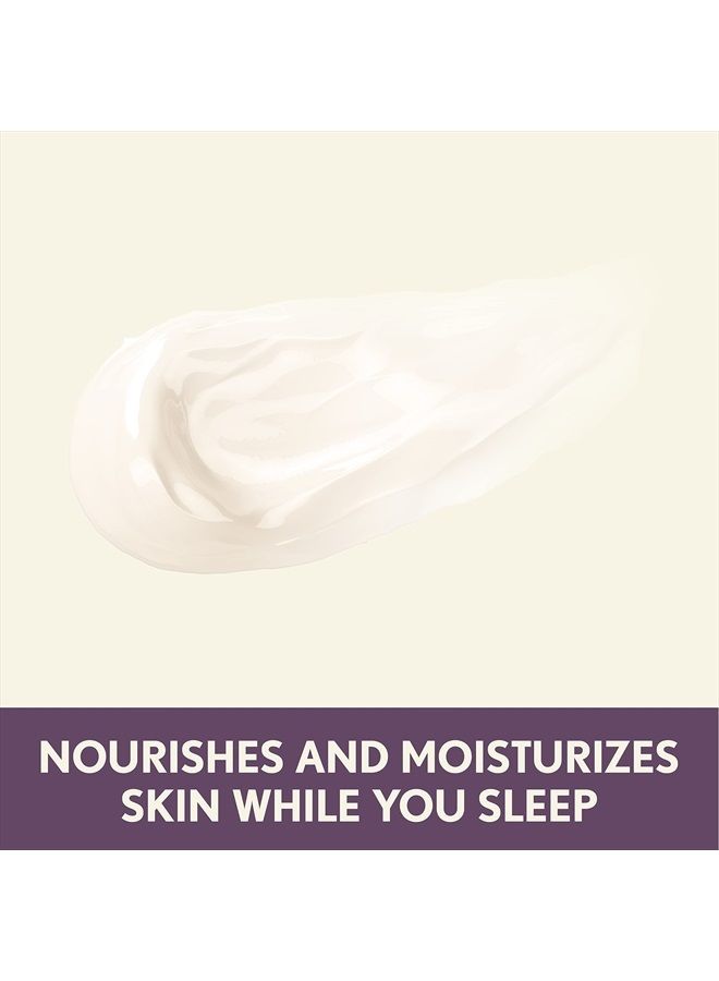Absolutely Ageless Restorative Night Cream Face & Neck Moisturizer with Antioxidant-Rich Blackberry Complex, Vitamin C & E, Hypoallergenic, Non-Greasy & Non-Comedogenic, 1.7 fl. oz