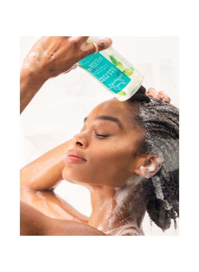 Wash Day Delight Love at First Wash Water To Foam Sulfate Free Shampoo with Aloe and Micellar Water, Paraben Free, Silicone Free, Micellar Shampoo for Kinky, Curly Hair, 16.9 fl oz