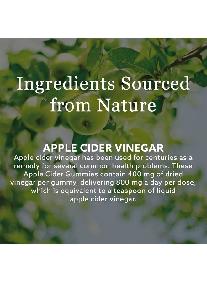 Apple Cider Gummies | Vegan Chewable ACV Wellness Supplement | No Vinegar Taste | Contains Mother Strain | 60 Count (Pack of 1)