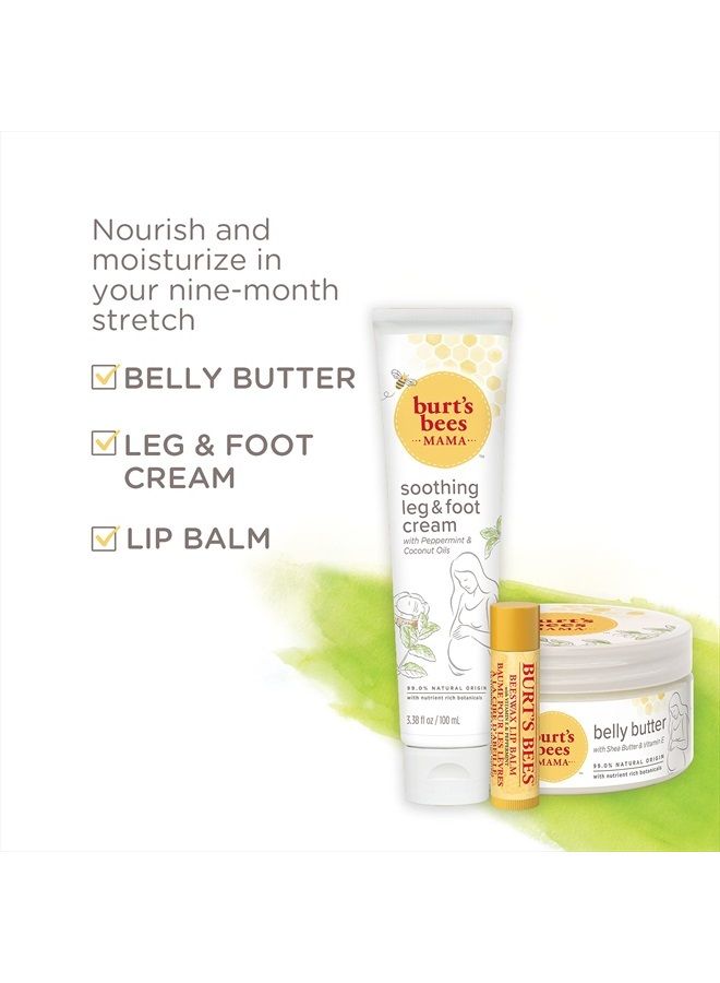 Burts Bees Gift Set, 3 Pregnancy Skin Care Products - Mama Belly Butter, Lip Balm Original Beeswax, Leg & Foot Cream, with Giftable Tin