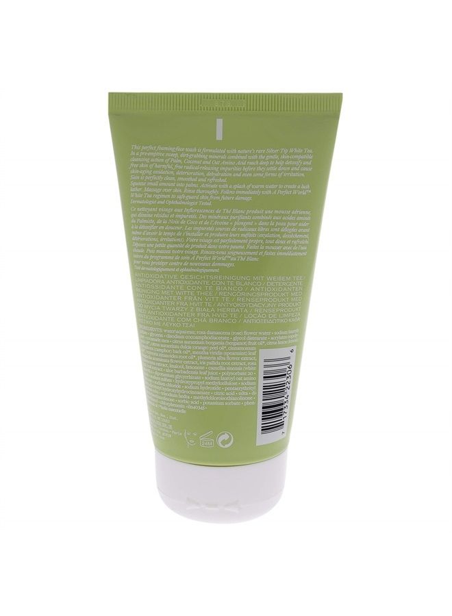 A Perfect World Antioxidant Cleanser with White 5 oz, Tea Tree, 1 Count