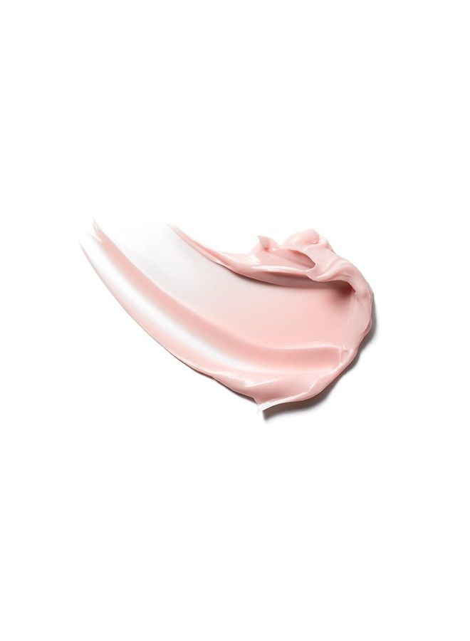 Natural Chebula Extreme Cream | Clean, Non-Toxic, Natural Skincare (1.7 oz | 50 ml)