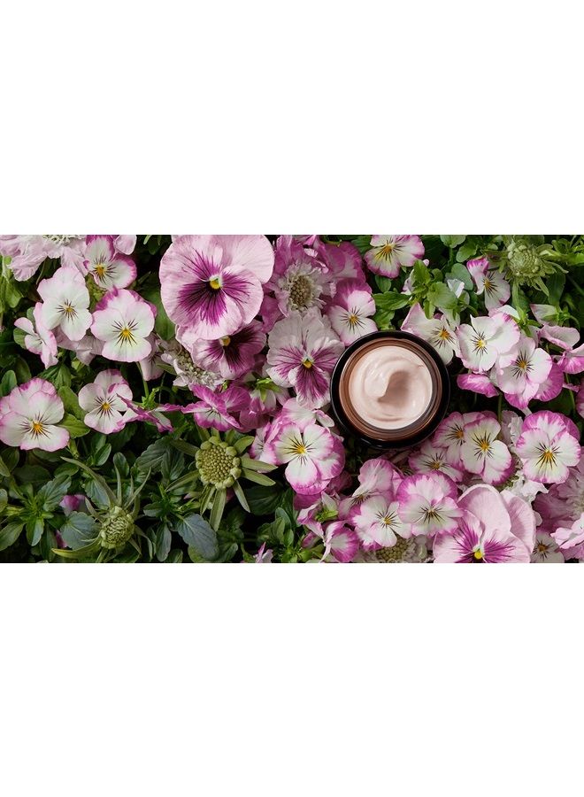 Natural Chebula Extreme Cream | Clean, Non-Toxic, Natural Skincare (1.7 oz | 50 ml)