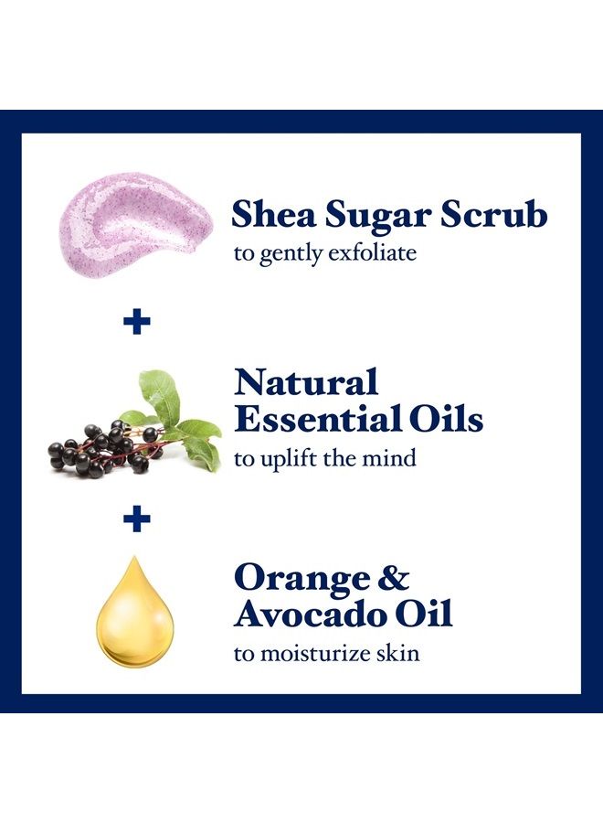 Shea Sugar Body Scrub, Black Elderberry with Essential Oils, 19 oz (Pack of 3) (Packaging May Vary)