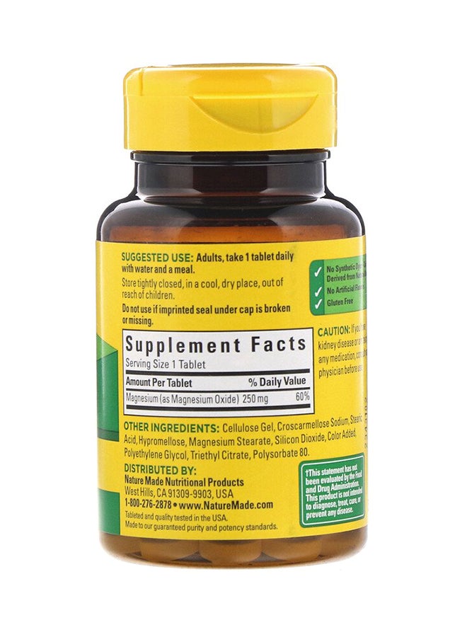 Magnesium Dietary Supplement - 100 Tablet