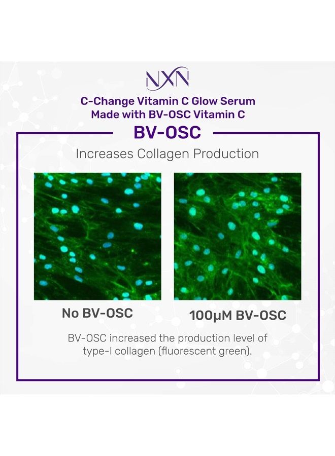 NxN Vitamin C & Hyaluronic Acid Serum Set, Clinically Proven to Brighten Skin, Reduce Dark Spots, Improve Hyper Pigmentation Age Spots, Reduce Fine Lines & Wrinkles - 1fl oz Face Kit