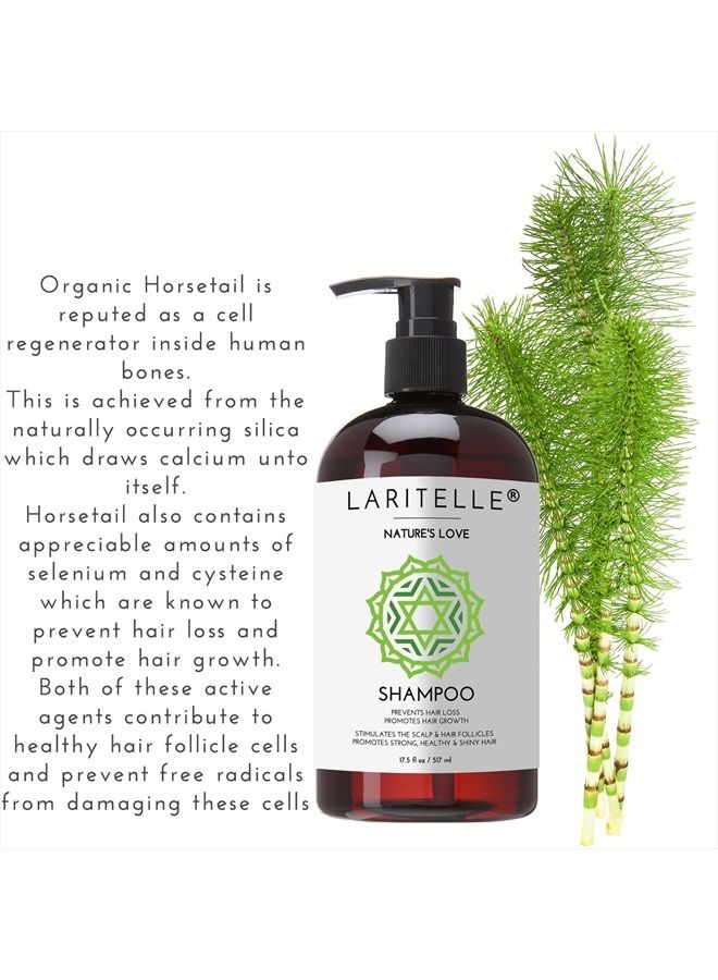 Organic Shampoo 17.5 oz | Organic Quinoa + Keratin + Follicle Stimulating Rosemary, Ginger & Grapefruit | Hair Loss Prevention, Clarifying, Softening, Strengthening | NO GMO. Vegan