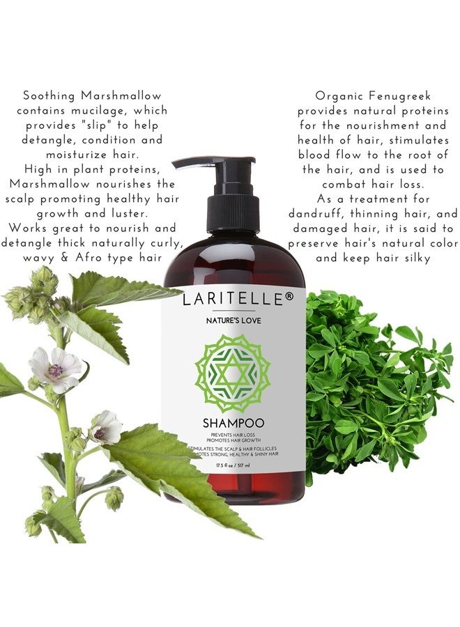 Organic Shampoo 17.5 oz | Organic Quinoa + Keratin + Follicle Stimulating Rosemary, Ginger & Grapefruit | Hair Loss Prevention, Clarifying, Softening, Strengthening | NO GMO. Vegan