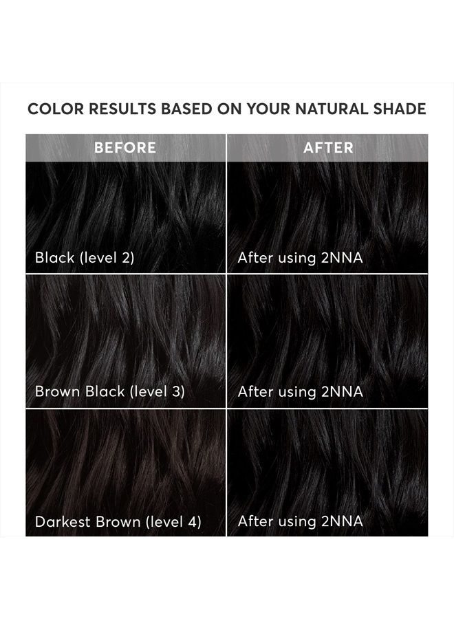 Radiant Hair Color Kit, Blackest Black for 100% Gray Coverage, Ammonia-Free, 2NNA Pescara Black, Permanent Hair Dye, Pack of 1