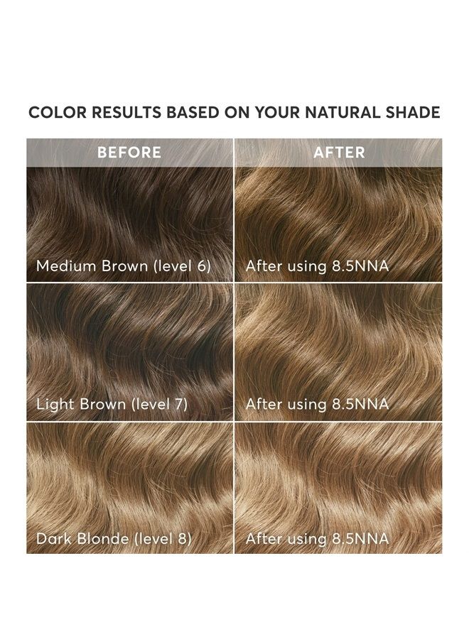 Radiant Hair Color Kit, Permanent Hair Dye, 100% Gray Coverage, Ammonia-Free, Lusia Dark Blonde 8.5NNA Dark Neutral Blonde for Resistant Grays, Pack of 1