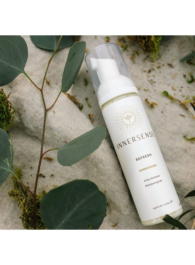 Organic Beauty - Natural Refresh Dry Shampoo | Non-Toxic, Cruelty-Free, Clean Haircare (2.4 oz | 70 ml)