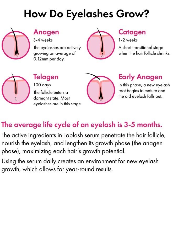 XL Lash and Brow Booster, Growth Serum with Eyelash and Eyebrow Enhancer, Promotes Stronger, Thicker, Healthier Lashes with Botanicals and Peptides