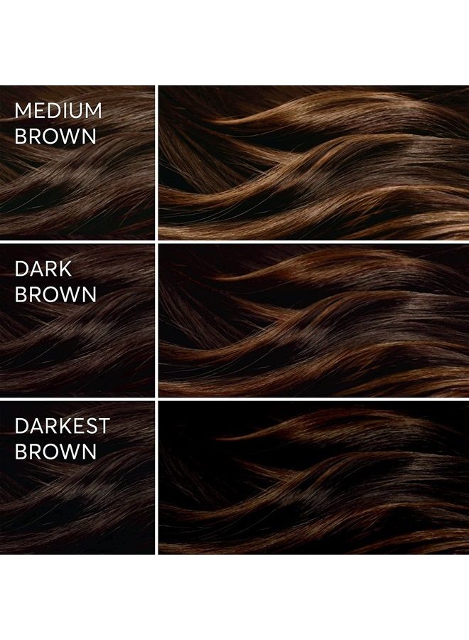 Light Works Balayage Highlighting Kit, Creates Natural-Looking Cool Toffee Highlights (Lazio - Brown), Amonia Free, Cruelty Free, 2 Step Process That Lightens & Tones Hair