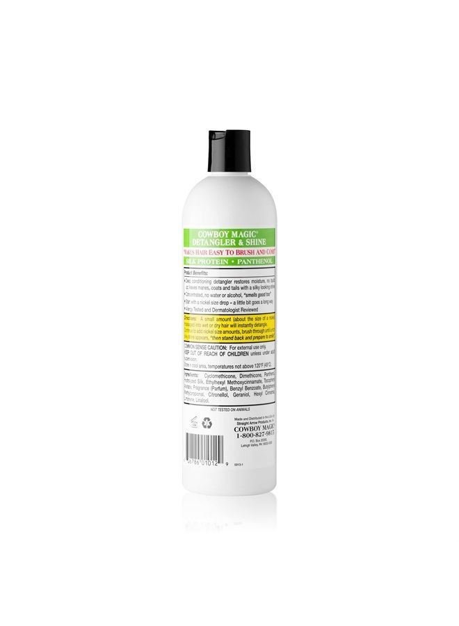 Detangler & Shine 16 Ounce