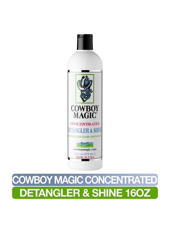 Detangler & Shine 16 Ounce