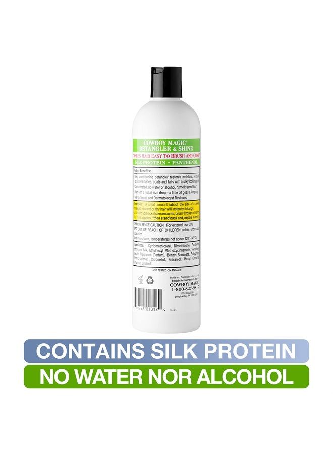 Detangler & Shine 16 Ounce
