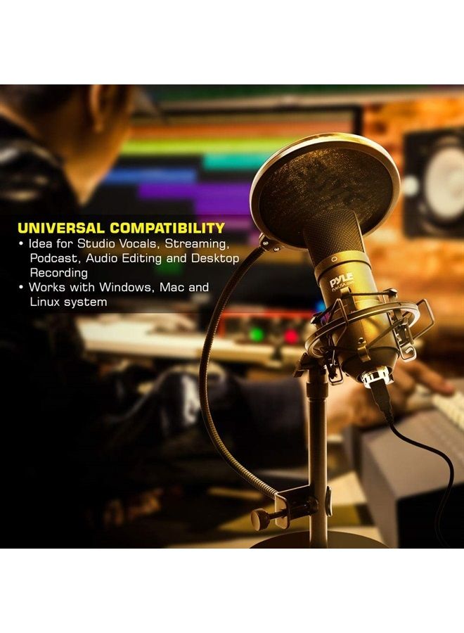 USB Microphone Kit, Cardioid Condenser Mic with Desktop Stand, Ideal for Gaming, Streaming, Podcasting, Studio, YouTube, Works with Windows, Mac, Linux - PDT100