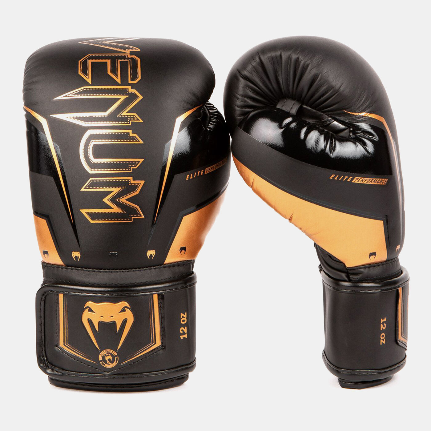 Elite Evo Boxing Gloves
