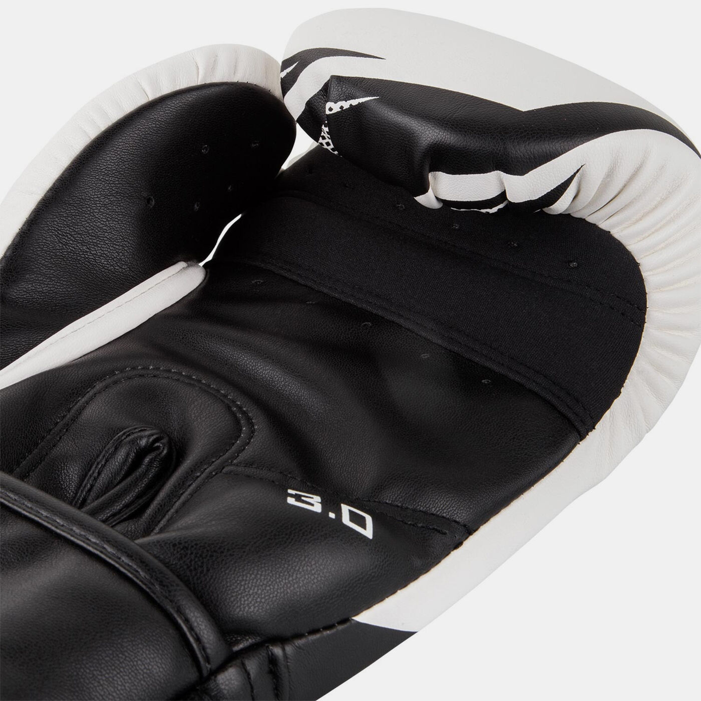 Challenger 3.0 Boxing Gloves
