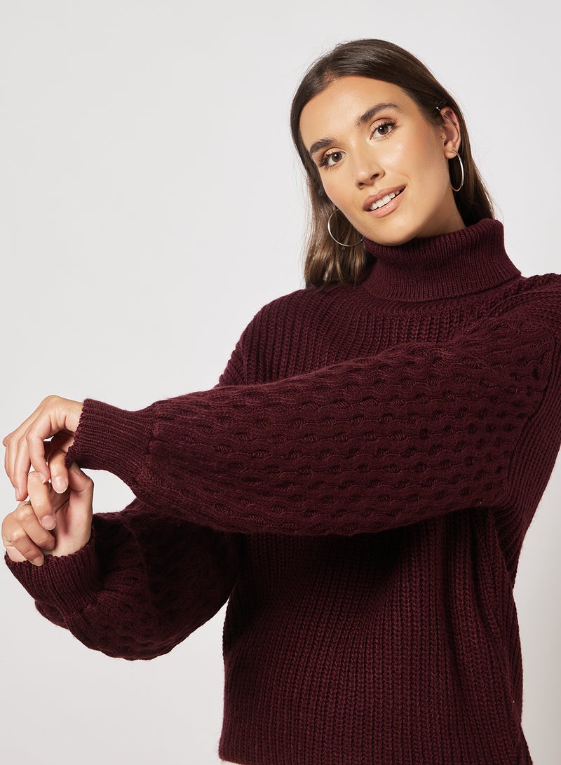 Classic Style Turtleneck Sweater Plum