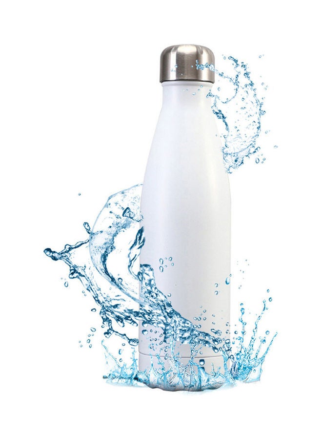 Stainless Steel Vacuum Insulated Water Bottle