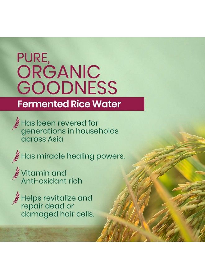 Organics Fermented Rice Water Shampoo ; Nourishes & Repairs ; For Frizzfree Bouncy Hair ; Certified Organic ; No Artificial Colours Parabens Phthalates Or Harmful Chemicals 300Ml