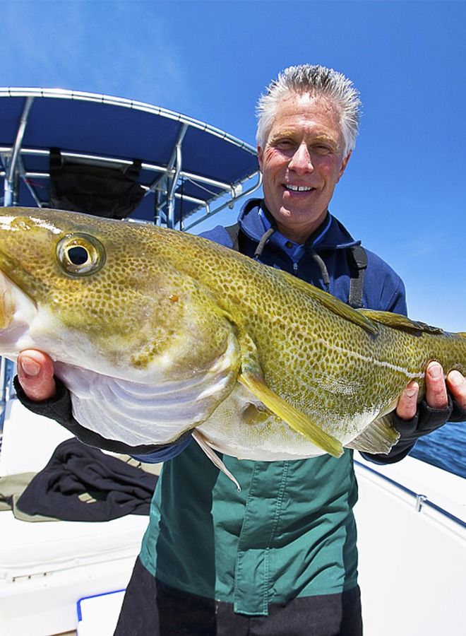 100M Nylon String Fishing Line Cord Clear Premium 100% Fluorocarbon Strong Monofilament Wire Flexible Wear-resistant Super Pulling Force Cut for Hanging Decorations Beading Crafts Kite