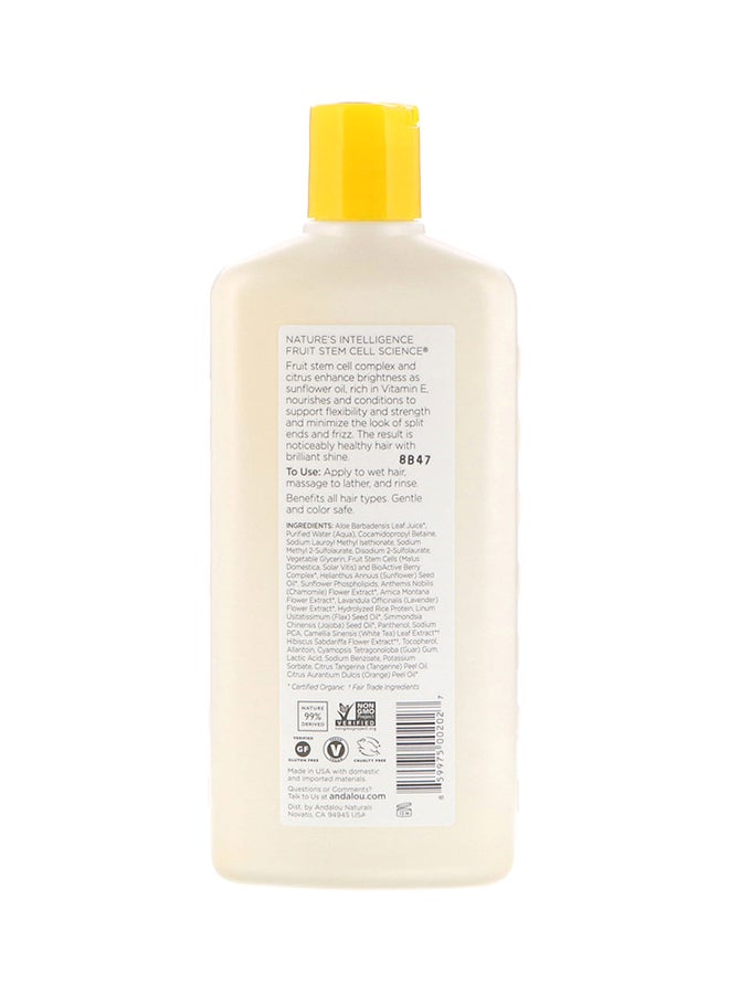 Sunflower And Citrus Shampoo 340ml