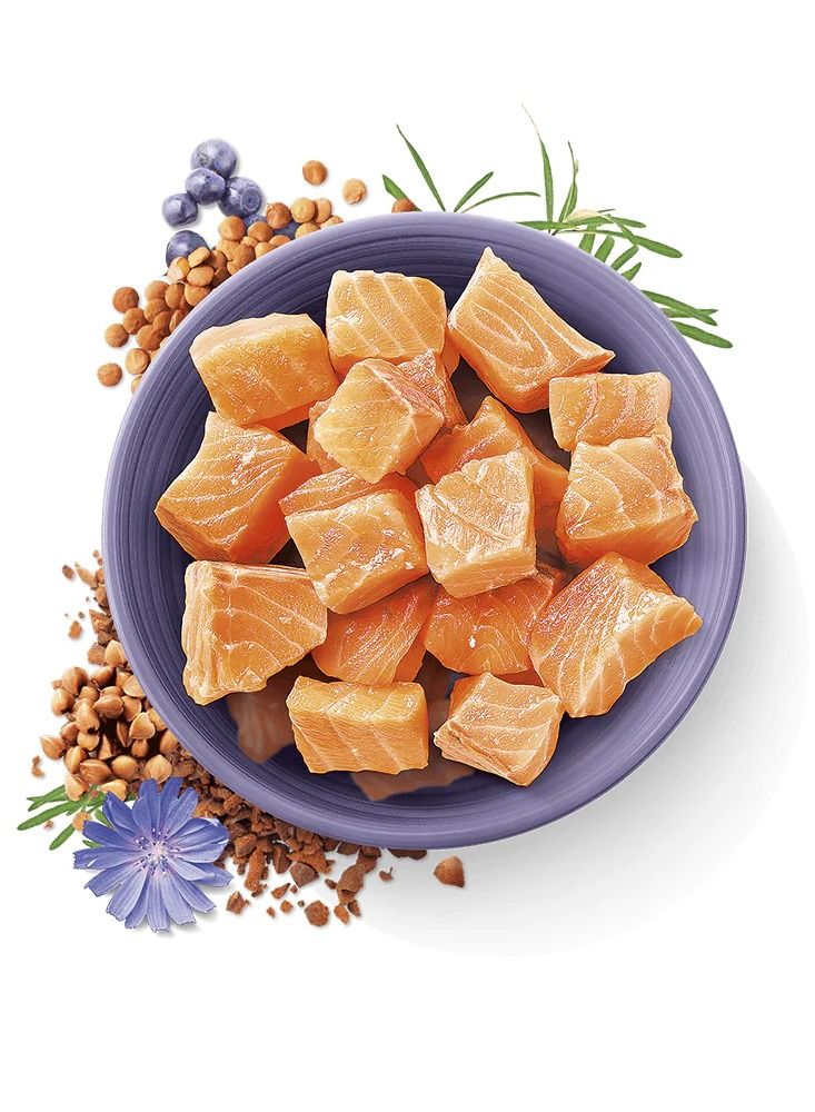 True Fresh Fish For Adult Cats 1.8 kg