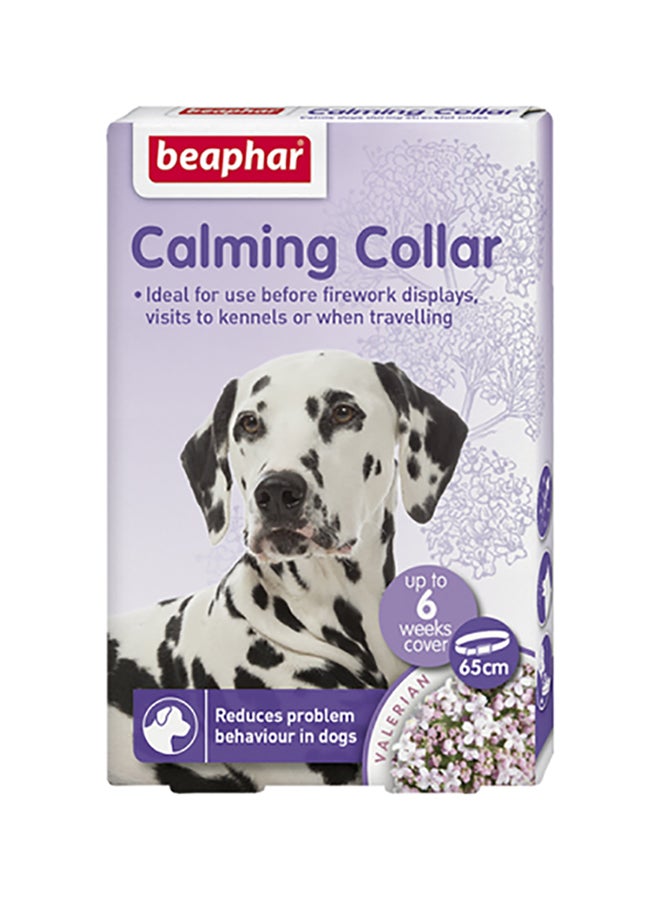 Calming Collar For Dog Purple 31cm