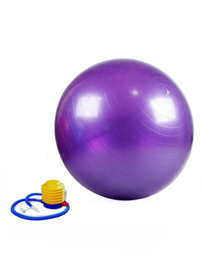 Anti-Burst Weighted Gym Ball