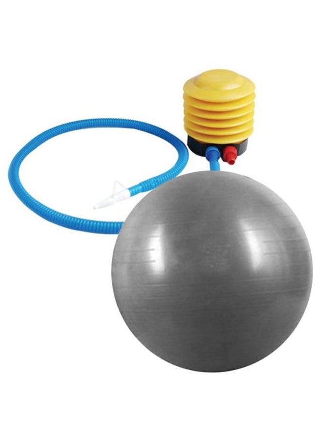 Bodyrip Exercise Gym Yoga Swiss Ball 65cm