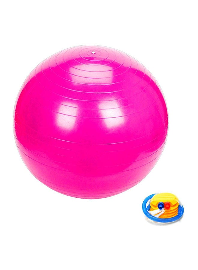 Gym Exercise Swiss Ball 65cm