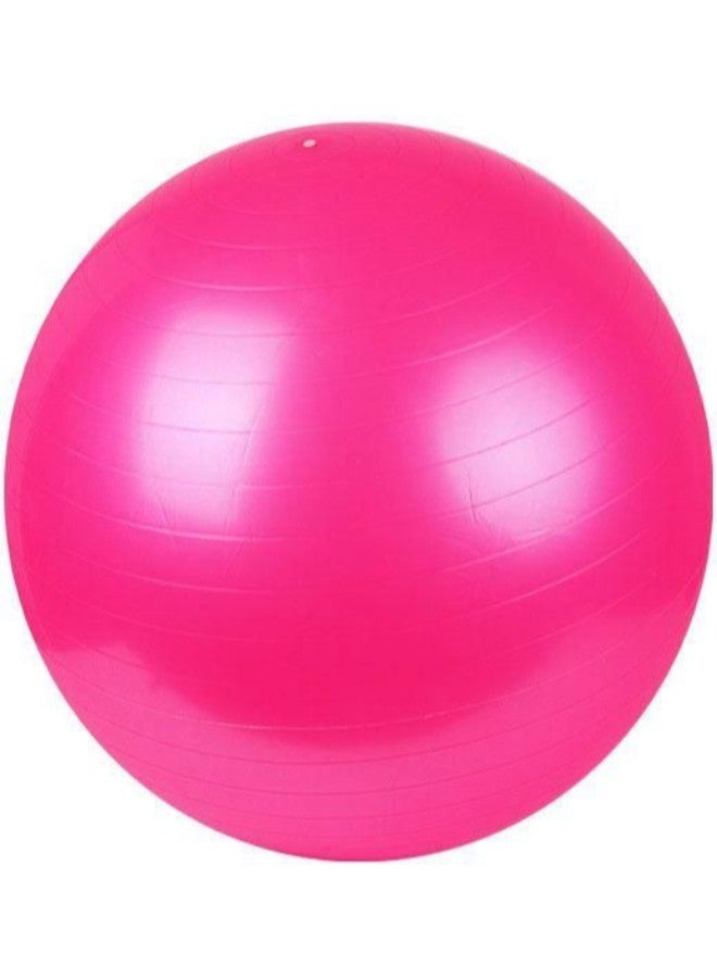 Gym Exercise Swiss Ball 65cm