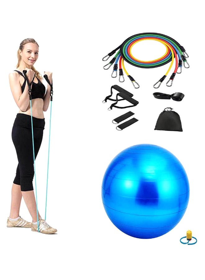 Yoga Gym Swiss Ball with 11-Piece Fitness Resistance Bands Set 65cm