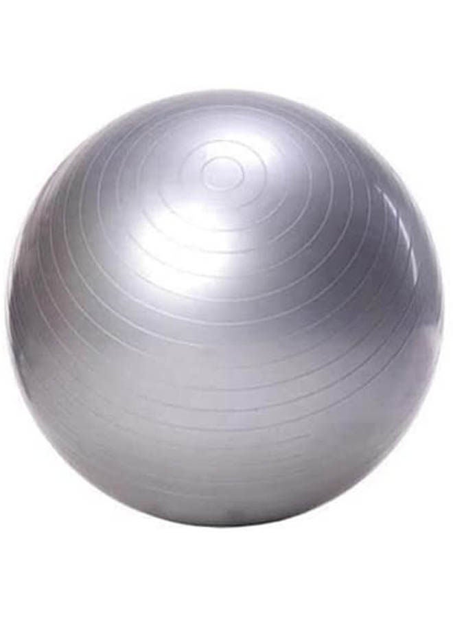 Fitness Exercise Swiss Gym Fit Yoga Core Ball Abdominal Back Workout 55cm