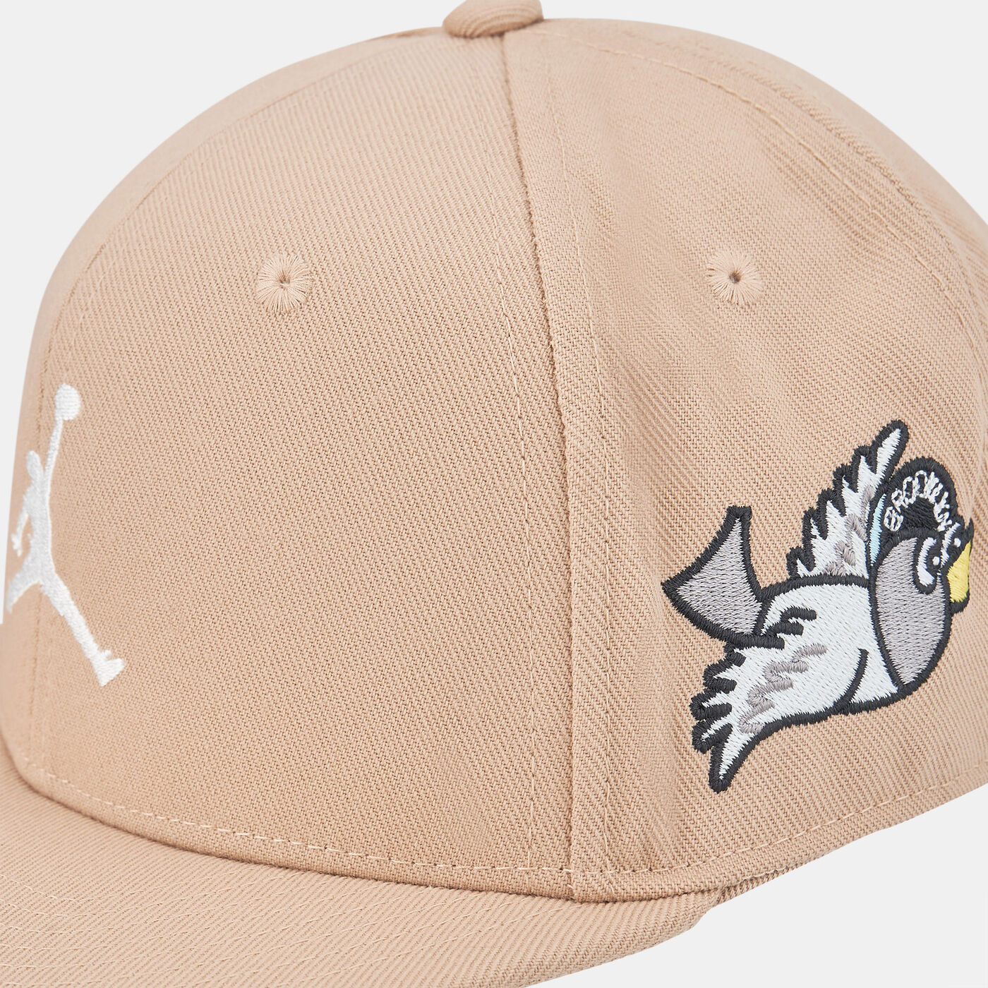 Jumpman Pro Cap