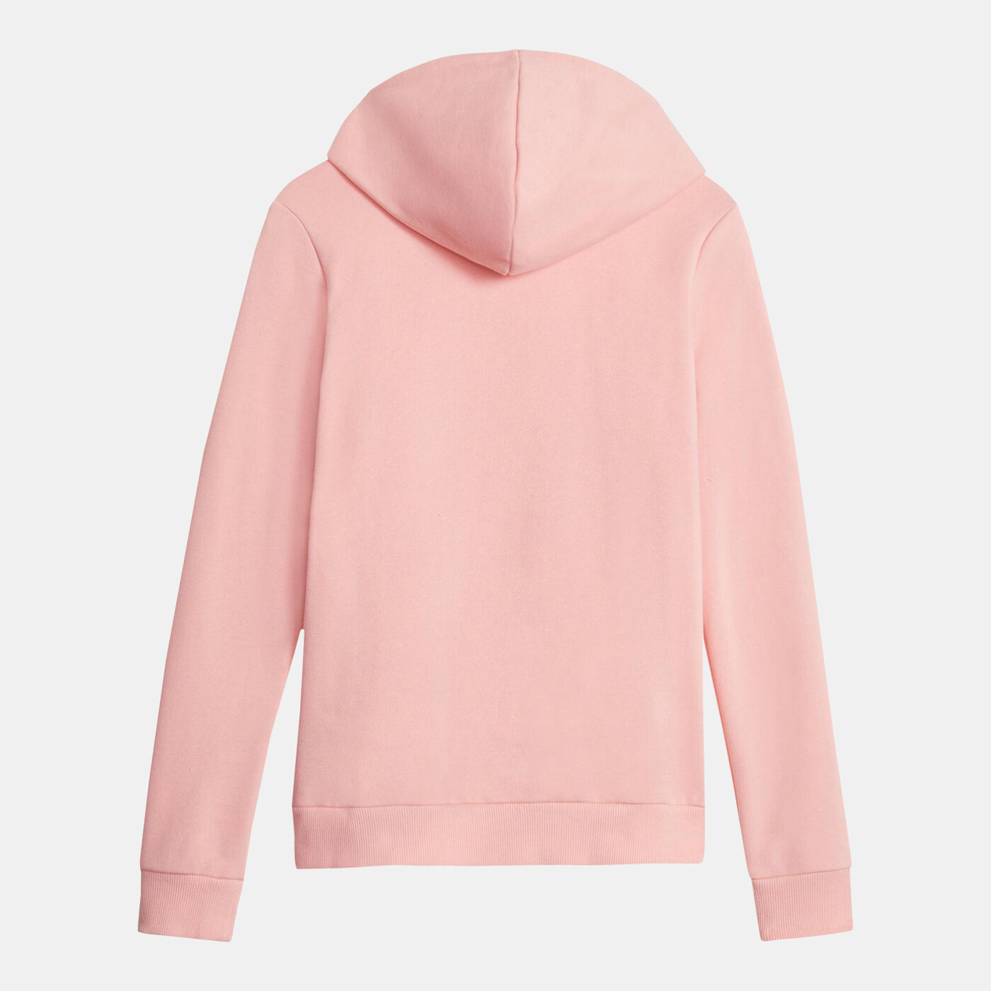 Women's ESS+ LOGO LAB Pullover Hoodie