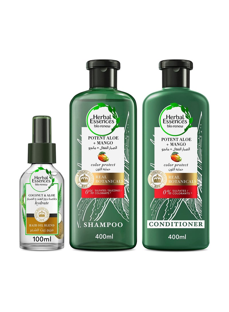 Sulfate Free Potent Aloe Vera And Mango Shampoo With Conditioner, Coconut, Aloe Vera Hair Oil 2x400ml+100ml Pack of 3