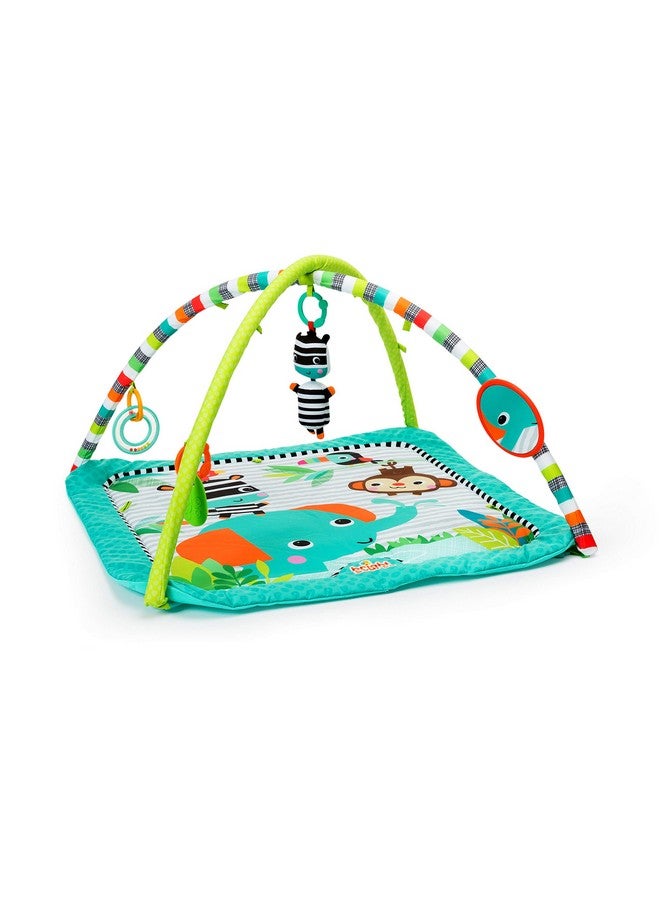 Zig Zag Safari Activity Gym And Play Mat With Takealong Toys Ages Newborn +