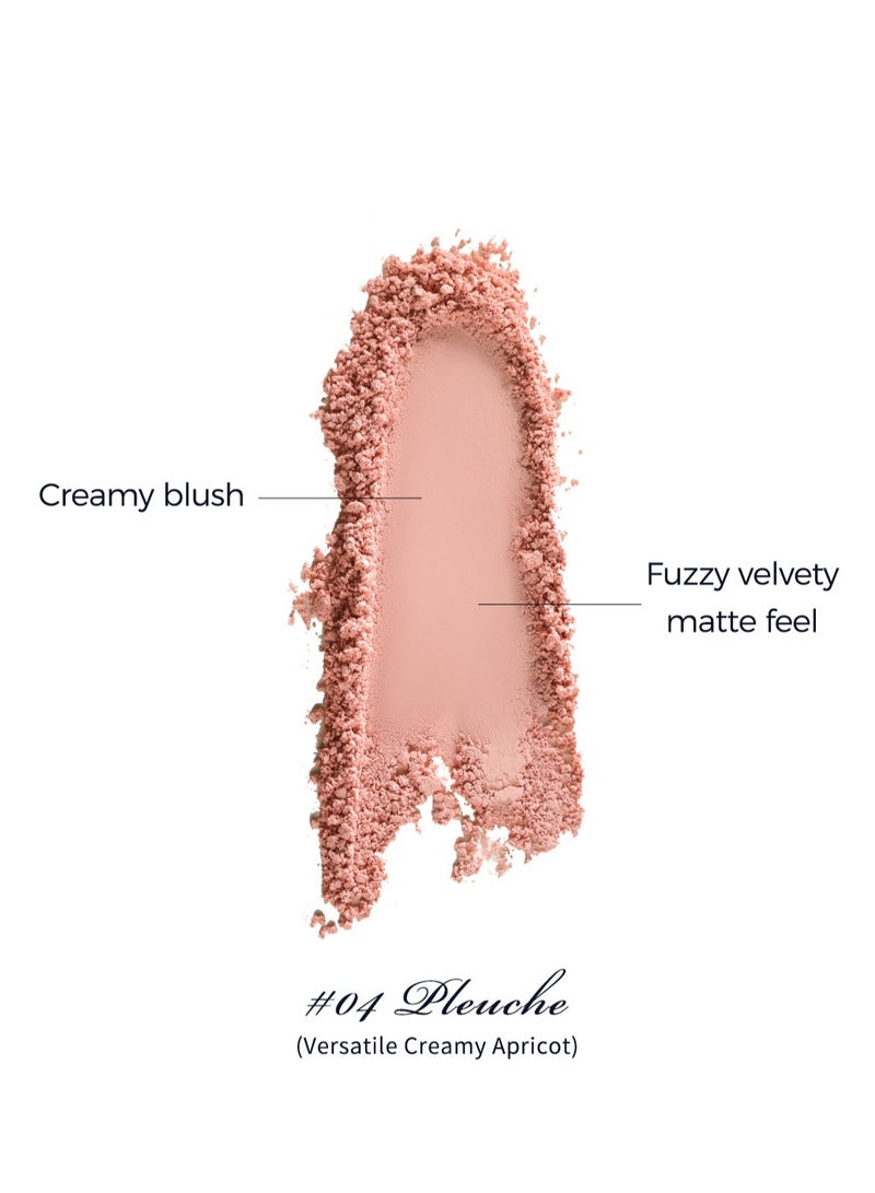 Swan Ballet Embossed Blush Flocked Mist Embossed Cheek Inflated Color Matte Classic Makeup - 5g (04 Pleuche)