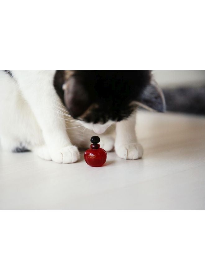 Hypnotic Poison EDT 50ml