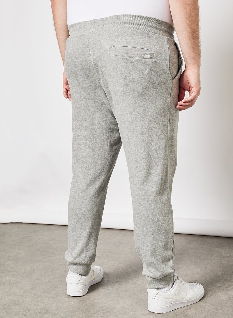 Plus Size Logo Sweatpants Light Grey